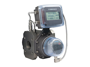 Gas Rotary Flowmeter (EVC)